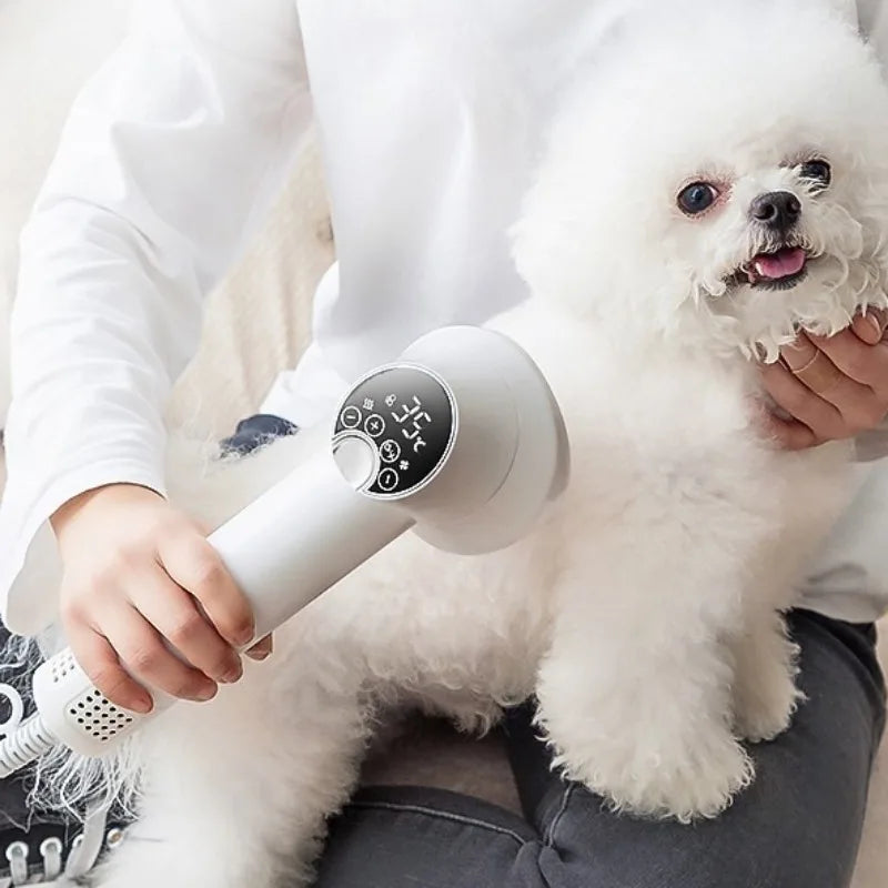 Professional Pet Hair Dryer Dog